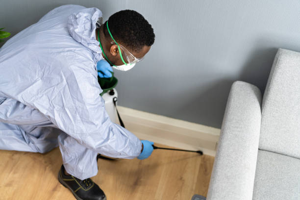 Real Estate Pest Inspections in Palm Desert, CA